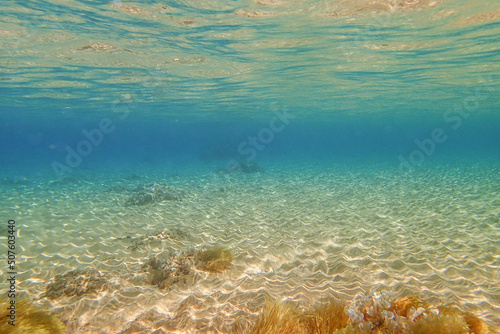 Underwater in the mediterranean Sea