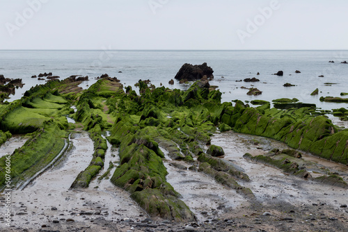 barrika beach on the basque coast in spring with the green rocks photo