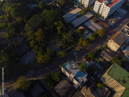 Gree tree forest park in city building with road