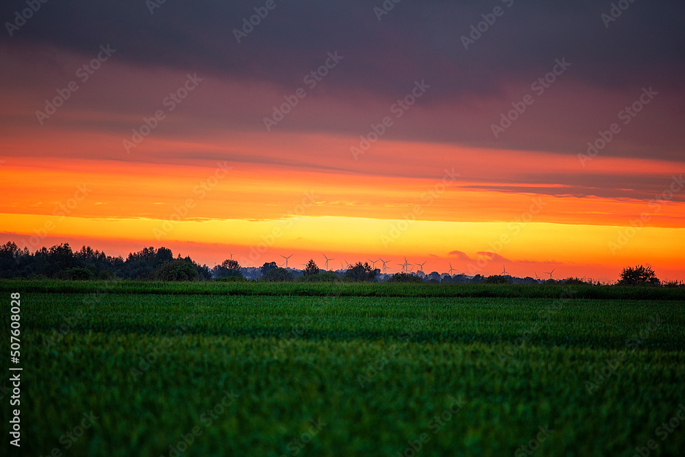 Beautiful sunset over the horizon in a green field of wheat. Summer sunset in the countryside. The last rays of the sun.