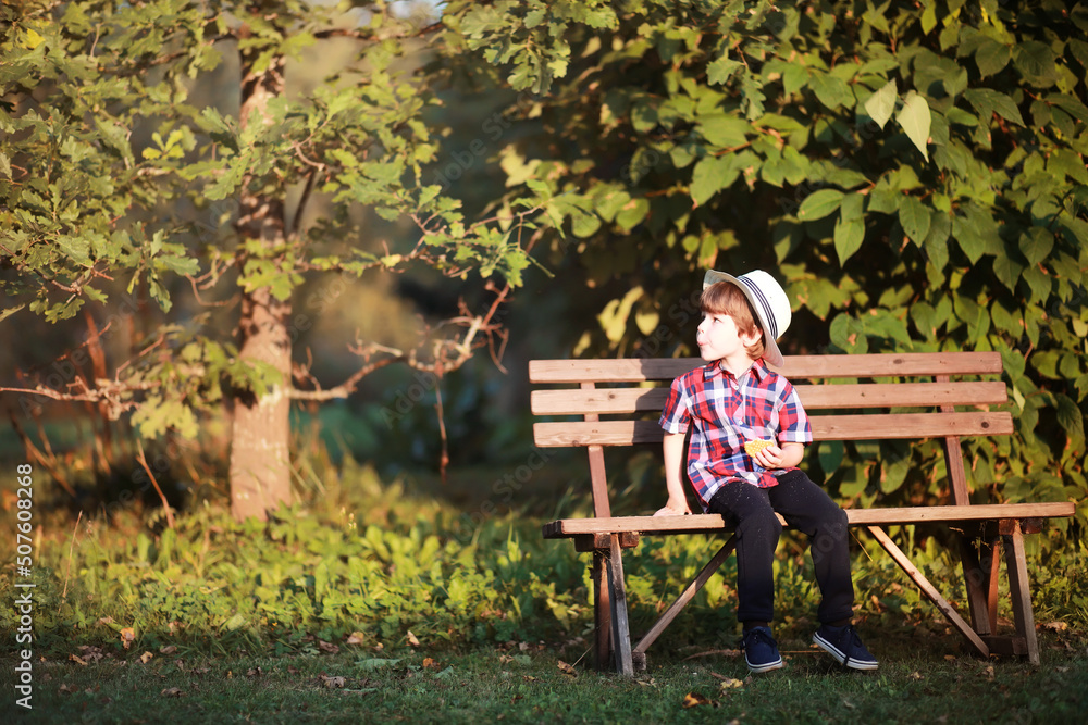 Leaf fall in the park. Children for a walk in the autumn park. Family. Fall. Happiness.