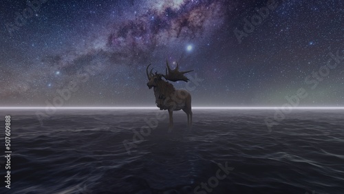 stag at sea