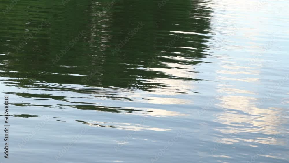 river fresh water with reflection of trees river fresh water with reflection of trees