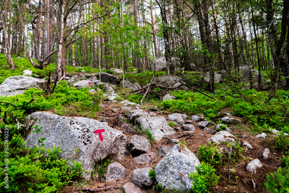 Tourist marked hiking path to Lifjel mountain, Sandnes, Norway, May 2018
