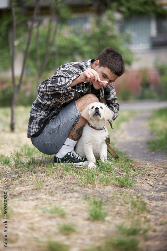 The guy walks the puppy and plays with it. Cute little golden retriever puppy The guy walks the puppy and plays with it. Cute little golden retriever puppy