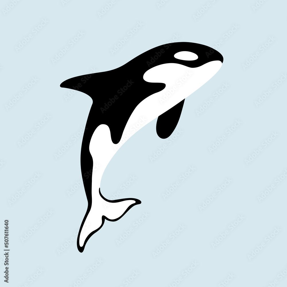 Fototapeta premium Cartoon killer whale. Сute animal character. Vector illustration.
