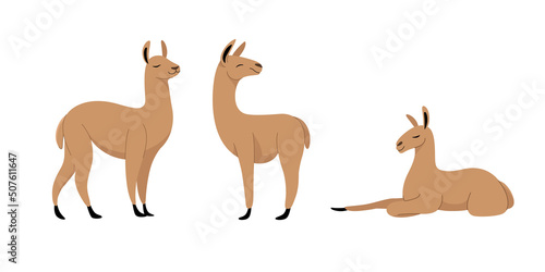 Cartoon lama sketch line icon. Kawaii animals icons set. Childish print for nursery, kids apparel, poster, postcard, pattern.