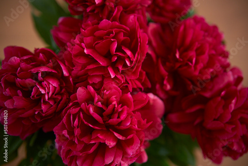 bouquet of peonies. Beautiful bouquet. Close-up of peonies. 