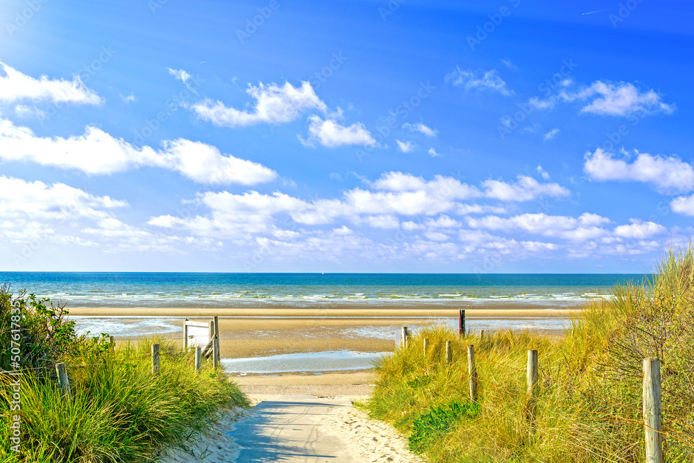 Dune landscape at De Panne, North Sea, in Belgium Dune landscape at De Panne, North Sea, in Belgium