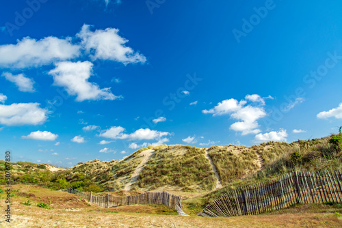 Fototapeta Naklejka Na Ścianę i Meble -  Dune landscape at De Panne, North Sea, in Belgium