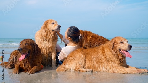 Portrait of happy family with pets kind owner and four obedient golden retriever dogs sitting on the beach playing in the water happily enjoying weekend time to swim in sunny day #507618822
