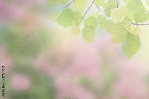Blur circle bokeh green leaf background. Blurry yellow leaves rays light flare nature backdrop.