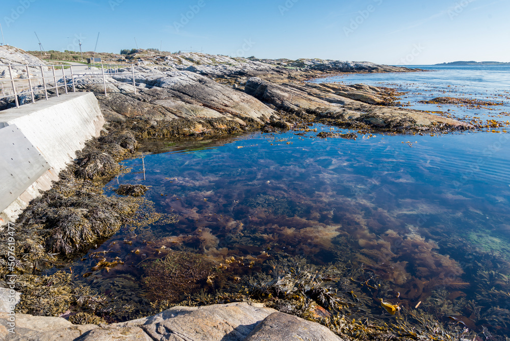 Seaweeds in waters of Sjobadet Myklebust public sea swimming pool in Tananger prior to summer season, Norway, May 2018