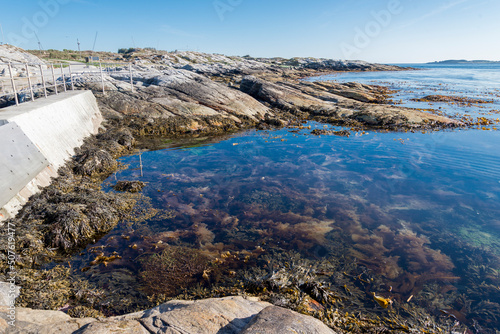 Obraz na płótnie Seaweeds in waters of Sjobadet Myklebust public sea swimming pool in Tananger prior to summer season, Norway, May 2018 w salonie