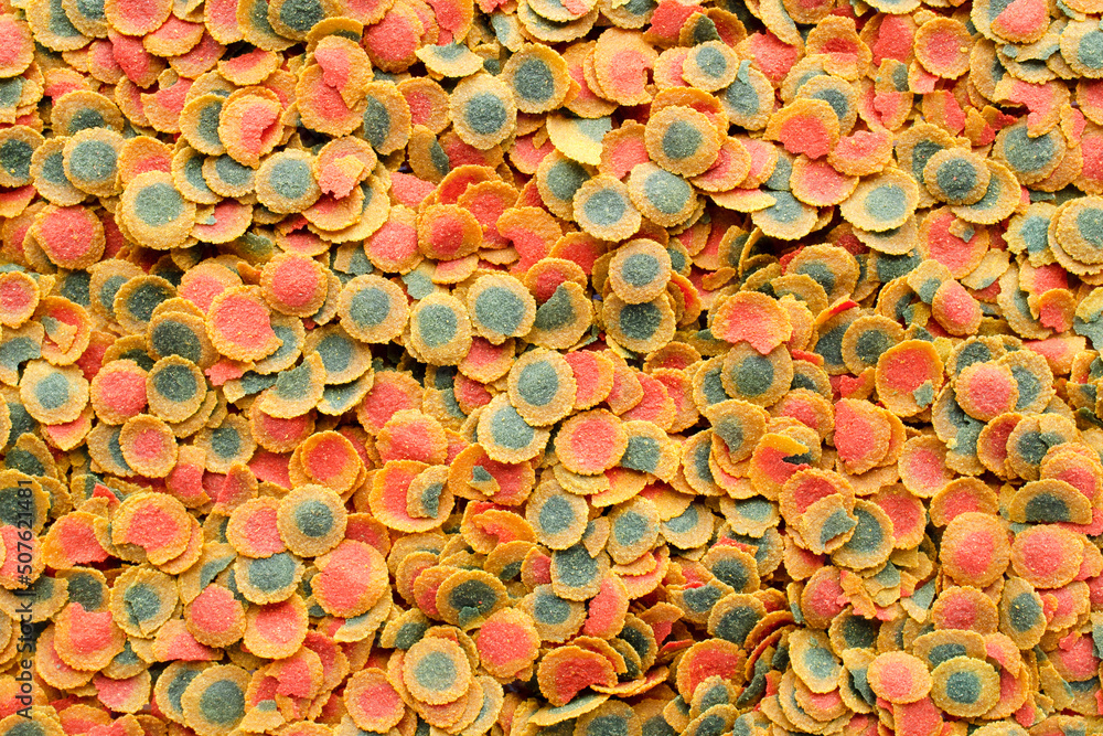 Granular food for aquarium fish, background, texture, top view. Pile of flakes for feeding tropical aquarium fish. Fish food in flakes. Fish food, background, texture, top view. Granular food for aquarium fish, background, texture, top view. Pile of flakes for feeding tropical aquarium fish. Fish food in flakes. Fish food, background, texture, top view.