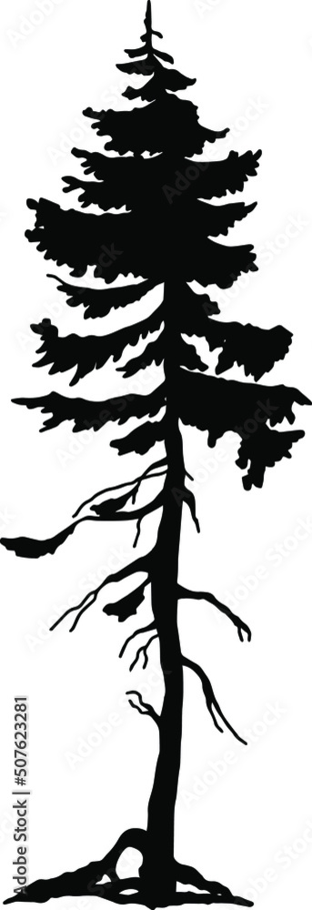 Silhouette of a tree, pine. Flat illustration of a tree. Vector. Silhouette of a tree, pine. Flat illustration of a tree. Vector.