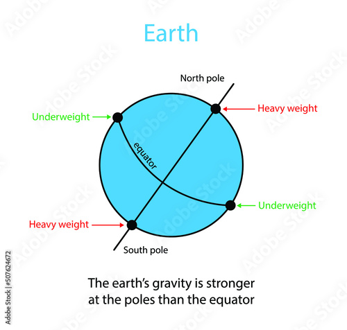 illustration of physics, The earth's gravity is stronger at the poles than the equator, gravitational force,  the gravitational force acting on the object