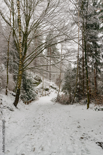 Wallpaper Mural snowy hiking path at the Elbsandsteingebirge (Saxon Switzerland, Germany) Torontodigital.ca