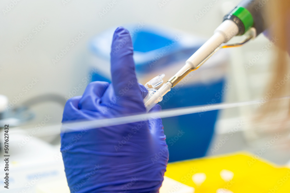 Scientist pipetting sample into vial for DNA testing. Scientist loads samples DNA monkeypox amplification by PCR into plastic strip tubes. Biochemistry specialist works with lab equipment Scientist pipetting sample into vial for DNA testing. Scientist loads samples DNA monkeypox amplification by PCR into plastic strip tubes. Biochemistry specialist works with lab equipment