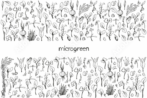 Set of microgreens doodle illustration. Vector hand drawn sketch background