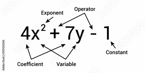 parts of polynomial algebraic expressions