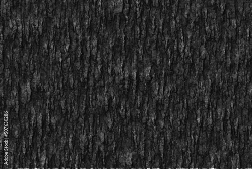 Burnt wooden texture background. Rough black wood surface. Dark material made from coal or charcoal.
