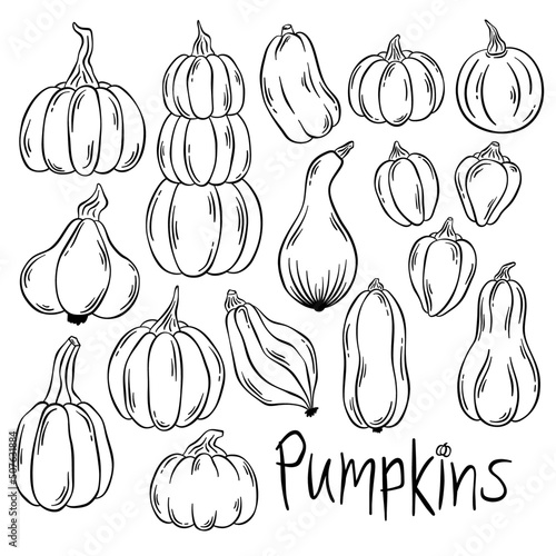 Set of contour vector pumpkins in doodle style. Autumn elements for Thanksgiving and Halloween. Hand drawn cartoon vegetables