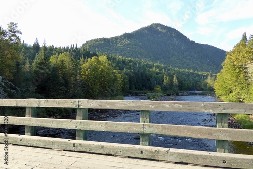 Jacques-Cartier National Park in province of Quebec  Canada  with green foliages  crystal clear water and mountains at the water   s edge of the Jacques-Cartier River