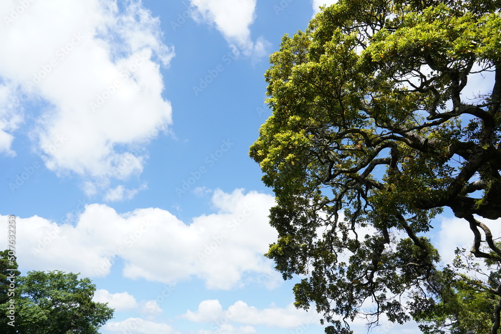 空と緑 空と緑