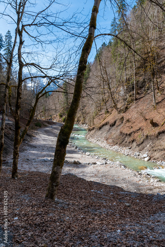 river in the forest (Partnach gorge in Garmisch-Partenkirchen) 