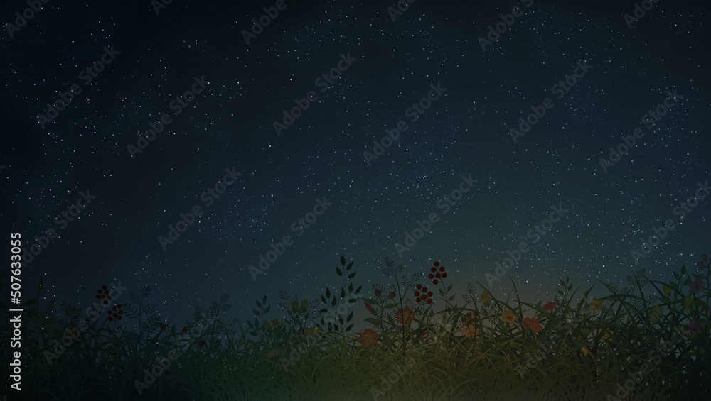 night sky background illustration wild flowers dark blue