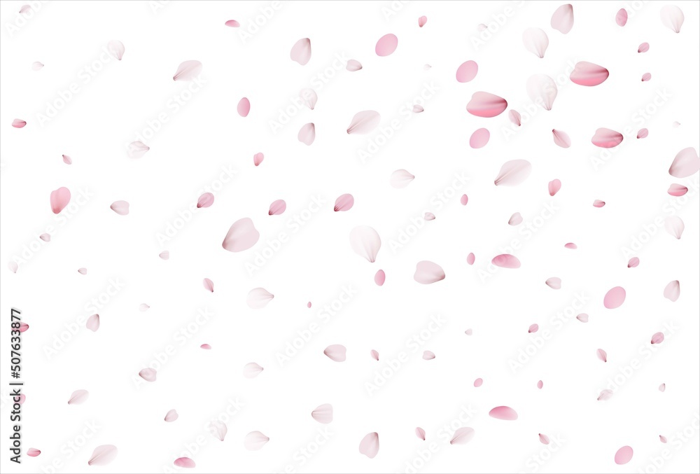 Cherry petals backdrop. Sakura petals background.