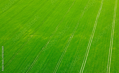 Aerial view of agro rural green fields with seedlings. Background for designer rural advertising