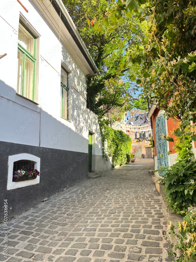 Typical cobbled street of charming little town Szentendre in Hungary Typical cobbled street of charming little town Szentendre in Hungary