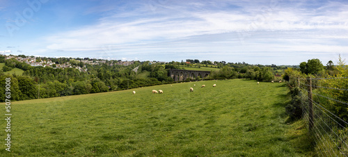 Mooreswater viaduct in Liskeard Cornwall