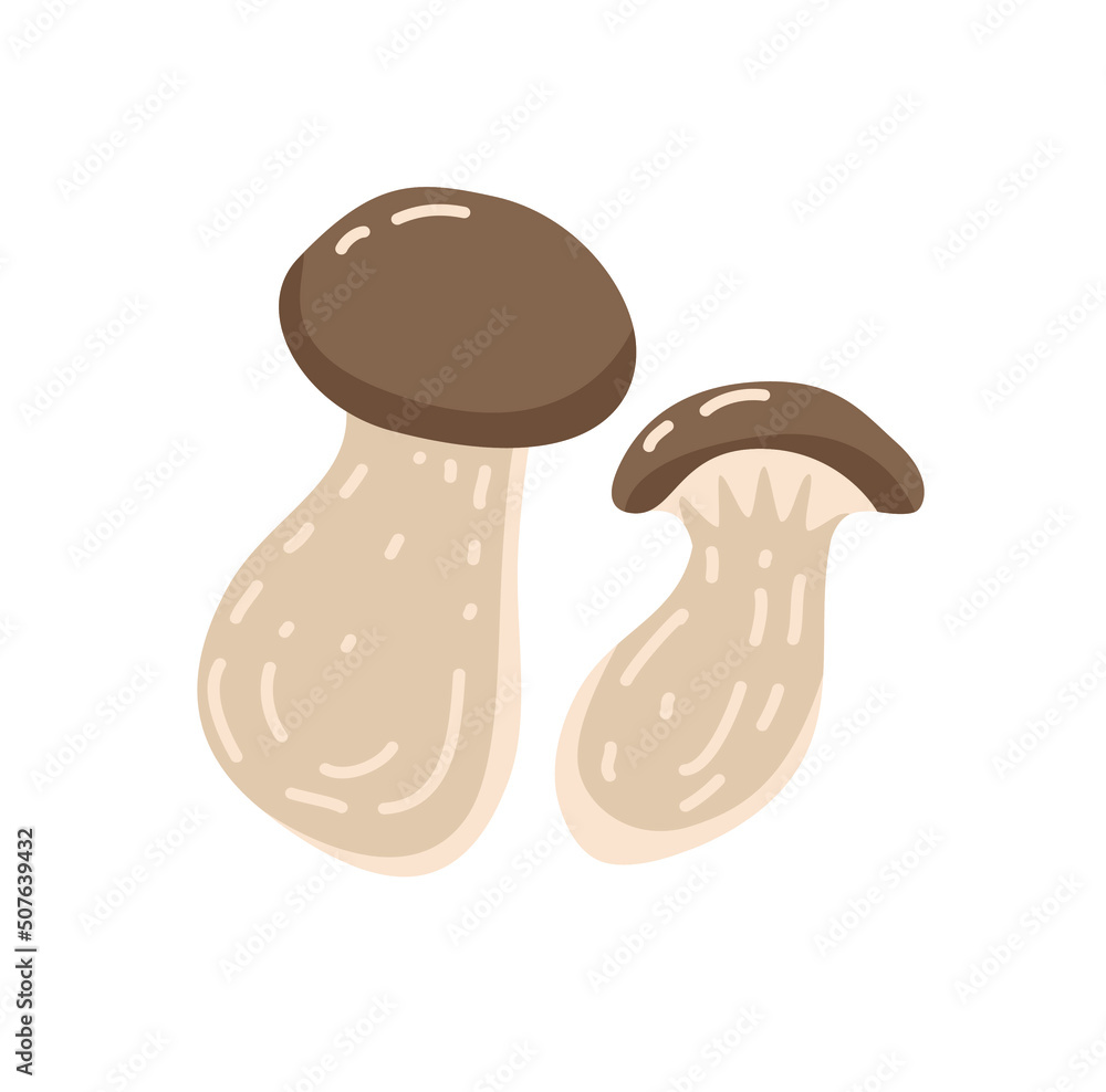 Fototapeta premium Composition of two raw edible mushrooms isolated on white background. Autumn forest food. Colored flat vector illustration of fungus