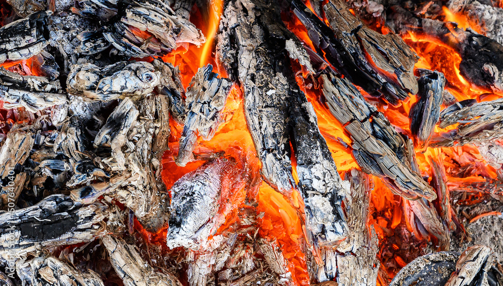 Burning charcoal grill. Smoldering coals in bonfire. Burning charcoal grill. Smoldering coals in bonfire.