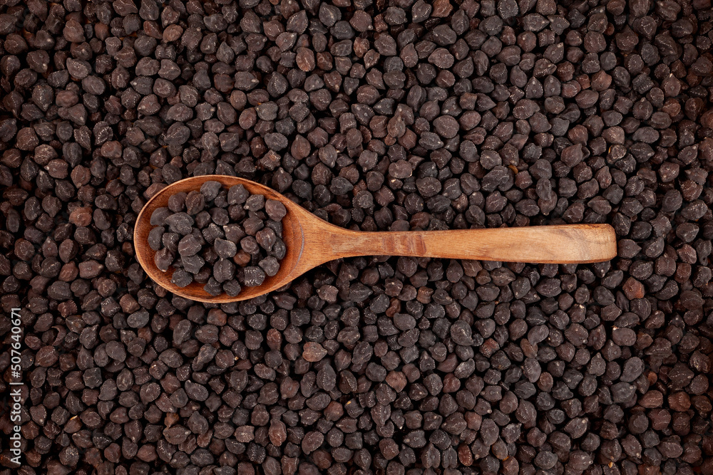 Uncooked Black chickpeas in wooden spoon on food background of chickpeas. Design element, selective focus Uncooked Black chickpeas in wooden spoon on food background of chickpeas. Design element, selective focus