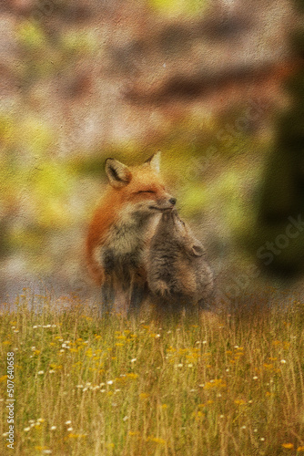 Canvas Print Red fox family outside den