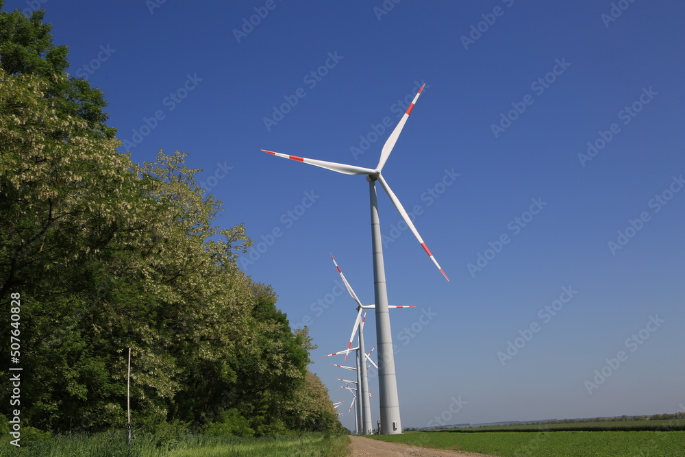 Fototapeta premium wind turbine in the wind