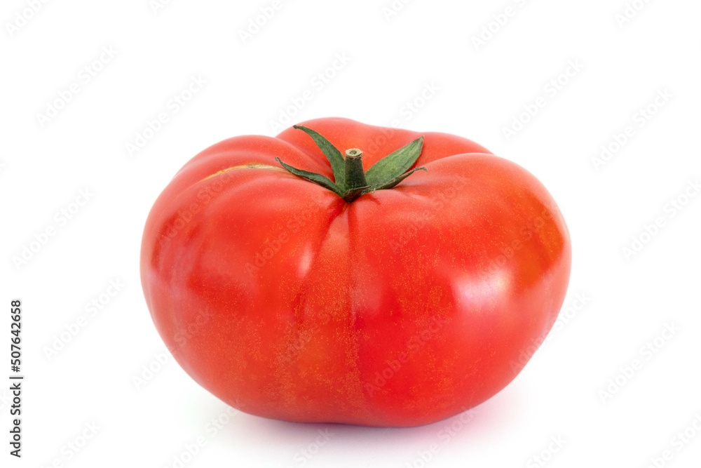 grosse tomate en gros plan sur un fond blanc grosse tomate en gros plan sur un fond blanc
