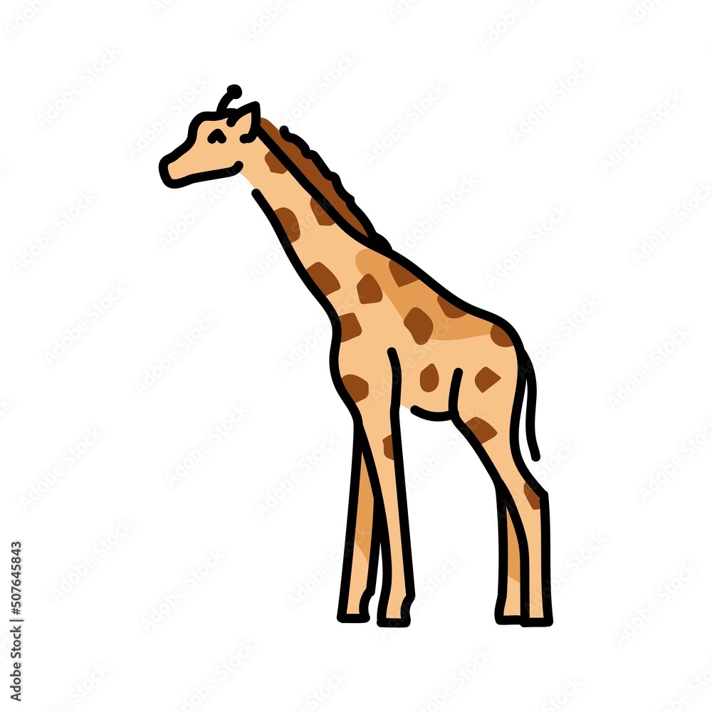 Obraz premium Giraffe color line illustration. Animals of Africa.