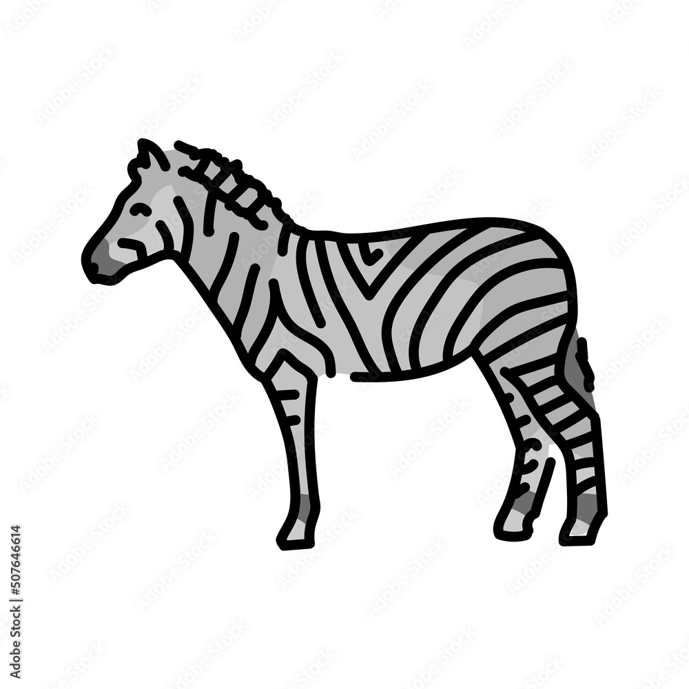 Fototapeta premium Zebra color line illustration. Animals of Africa.