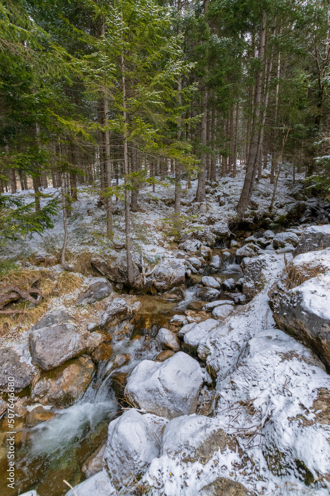 mountain river in the forest (Lake Achensee, Tyrol, Austria) mountain river in the forest (Lake Achensee, Tyrol, Austria)