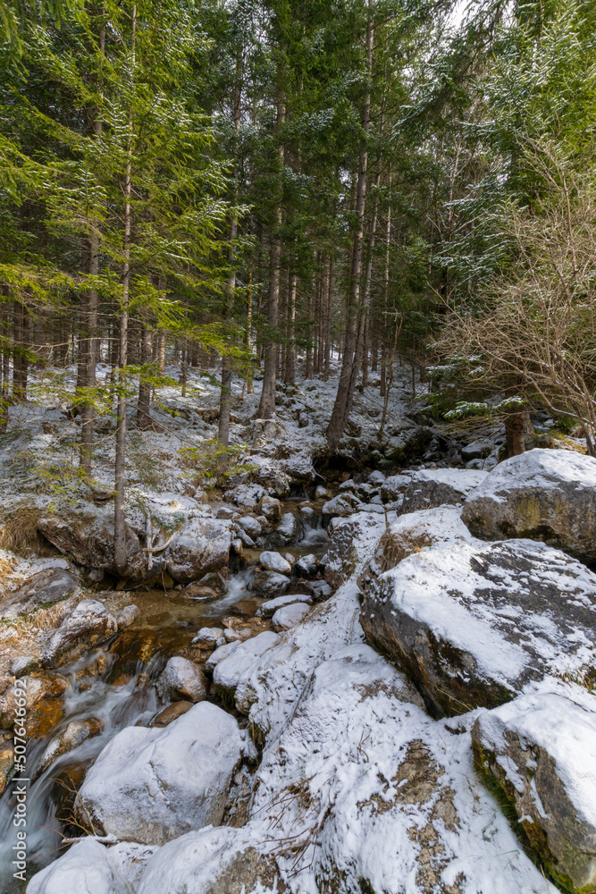 mountain river in the forest (Lake Achensee, Tyrol, Austria) mountain river in the forest (Lake Achensee, Tyrol, Austria)