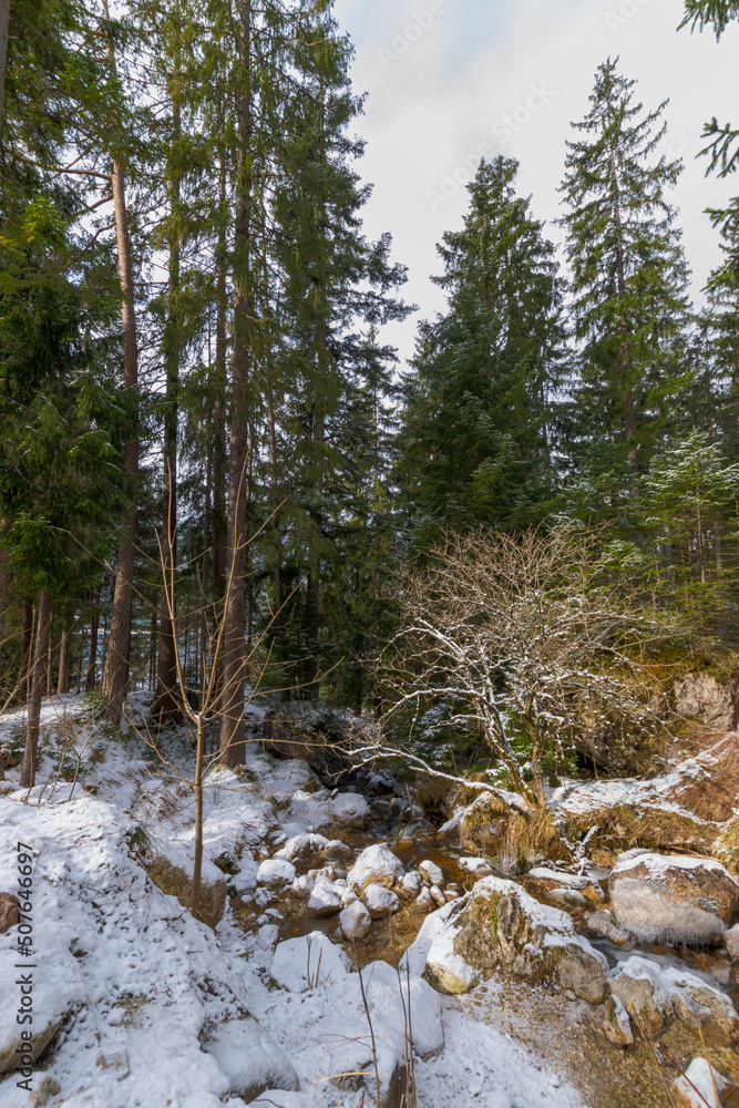 mountain river in the forest (Lake Achensee, Tyrol, Austria) mountain river in the forest (Lake Achensee, Tyrol, Austria)