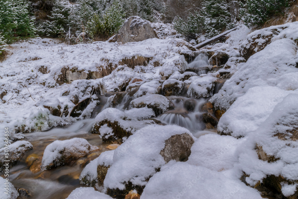 stream in the forest during winter (Tyrol, Austria) stream in the forest during winter (Tyrol, Austria)