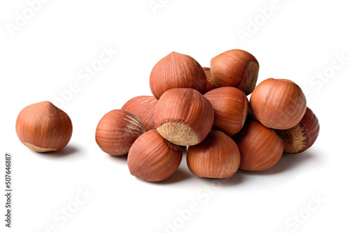 Valokuva hazelnut  group ,brown full piece hazelnut,hazelnut on white isolated clipping p