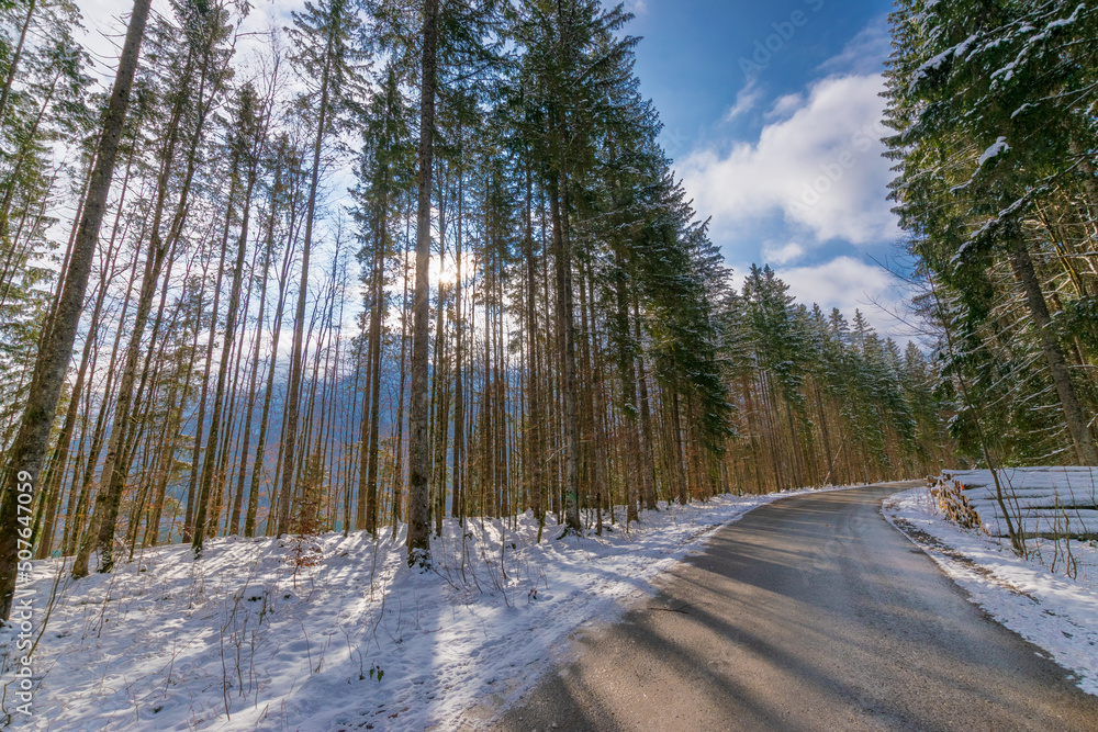 road in the forest during winter (Bavaria, Germany) road in the forest during winter (Bavaria, Germany)