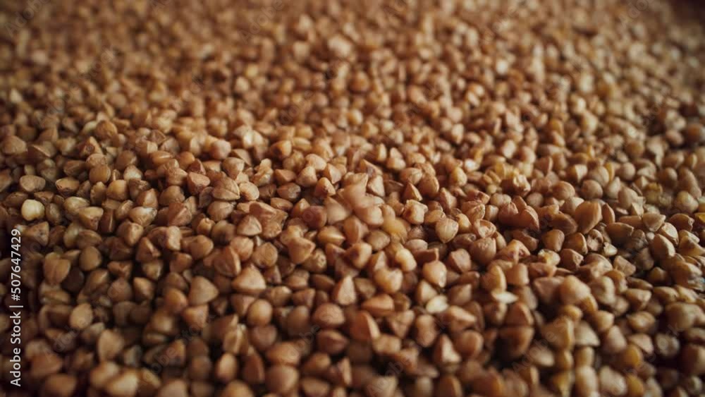 Brown buckwheat grains falling close-up Brown buckwheat grains falling close-up
